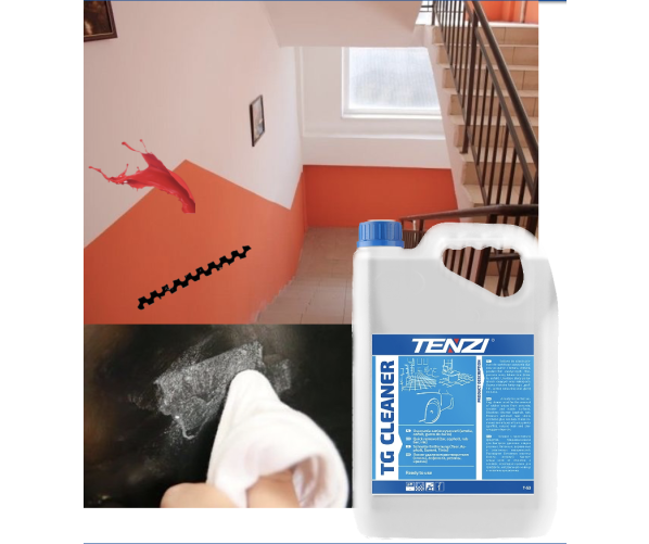 TG Cleaner 1 л TENZI